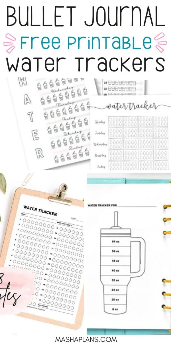 Sortie de course dans un parc belge